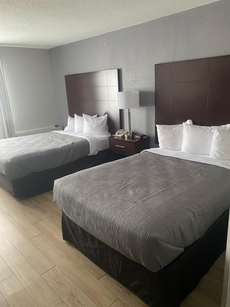 Quality Inn Colchester Burlington Exterior foto